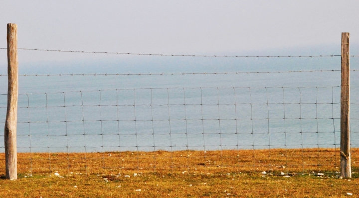 A un passo dalla libertà. di mcvitus