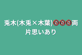 兎木(木兎×木葉)🔞🔞🔞両片思いあり