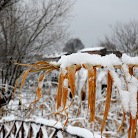 bianco di 