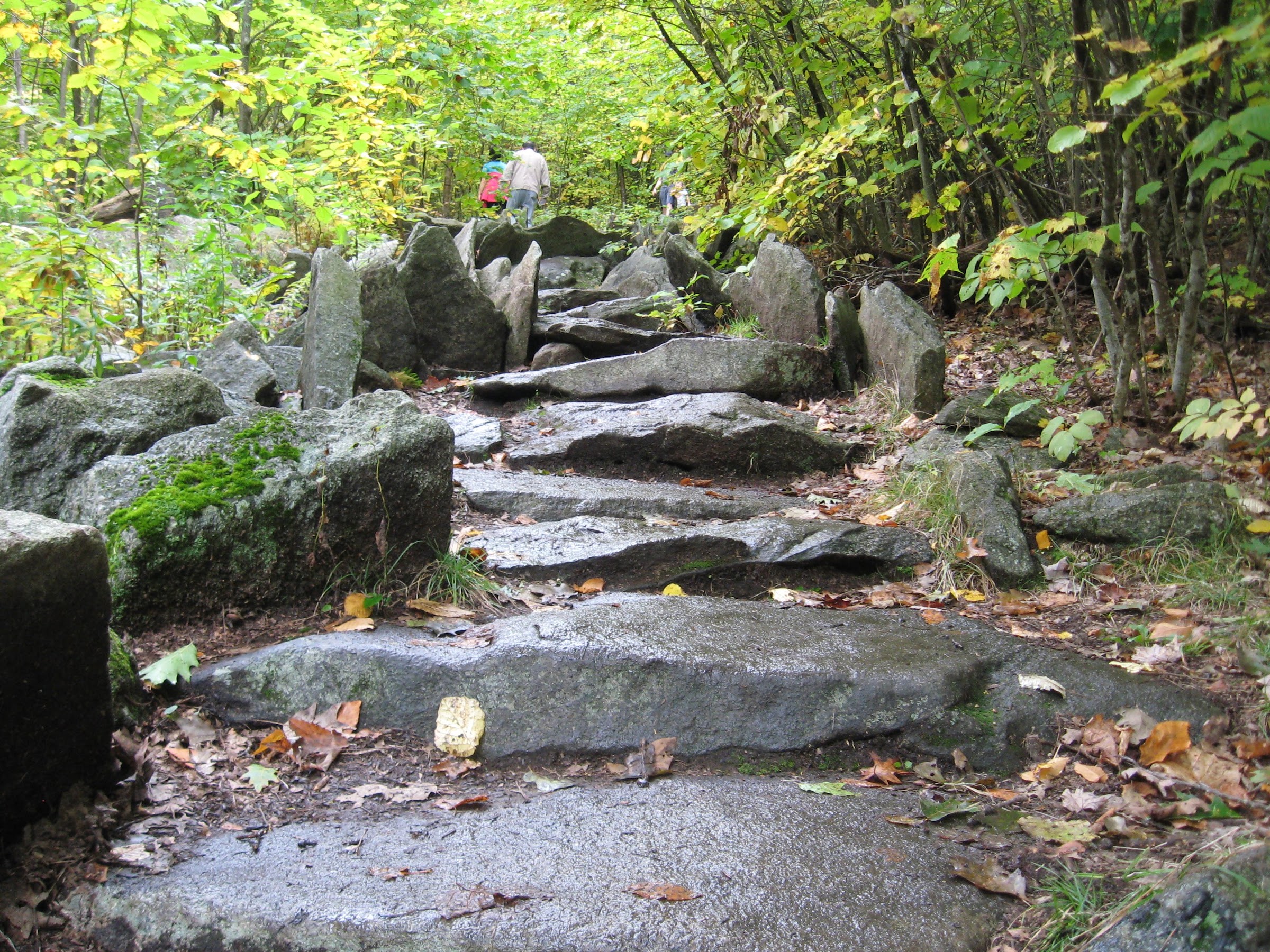 Pine Hill trail rock stairs on the way up Wachusett Mountain