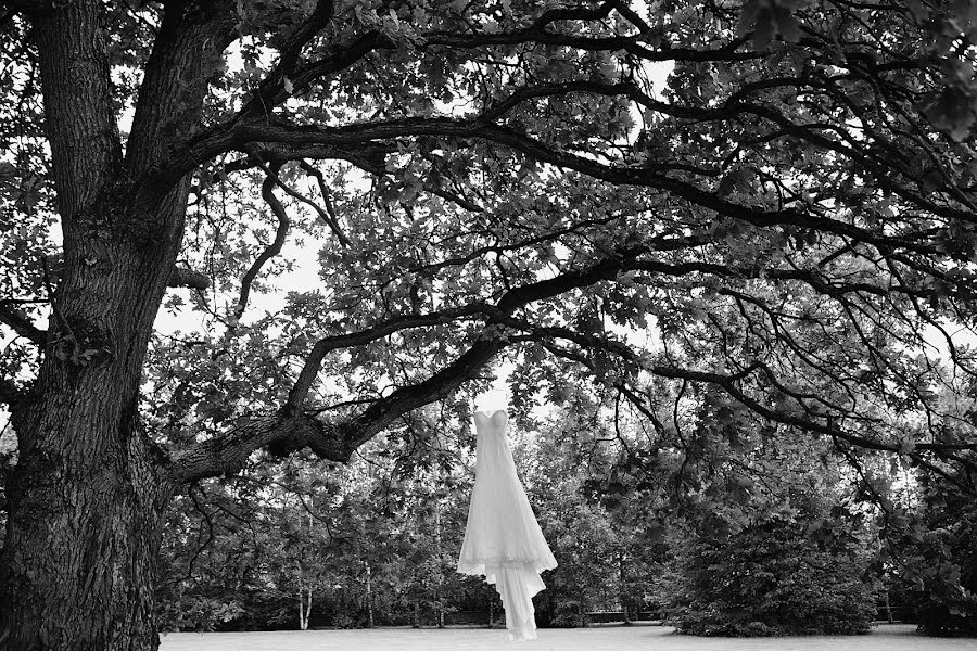 Fotografo di matrimoni Vova Chi (chirin). Foto del 9 novembre 2015