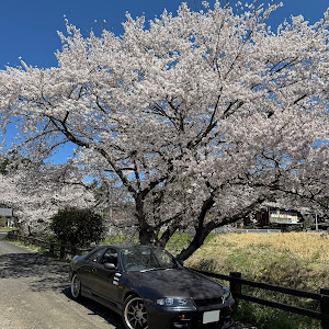 スカイライン ECR33