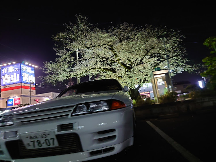 スカイライン GT-Rの桜とコラボ・サクラと愛車・桜・夜桜に関するカスタム事例の投稿画像4枚目