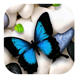 Butterfly on Stones Theme 1.1.11 Icon