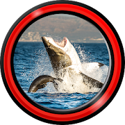 Shark Live Wallpapers  Icon