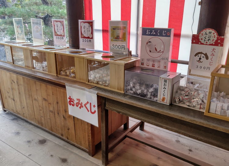 BRZの平日お休み倶楽部(仮)・遅ればせながら…😅　初詣⌚⛩🎍！？・天橋立⛩️・シ〜ス〜🍣!?　まいう〜🤤💕🎵💫・新年初カスタムに関するカスタム事例の投稿画像25枚目