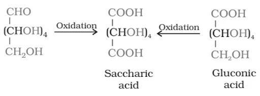 Solution Image