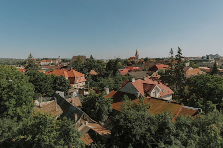 Pulmafotograaf Viktor Demin (victordyomin). Foto tehtud 2 jaanuar 2017