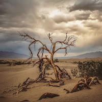 Una luce nella Death Valley di 