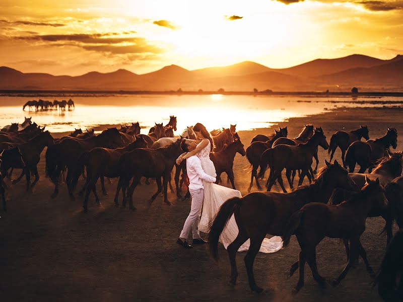 Düğün fotoğrafçısı Murat Koksal (muratkoksall). 16 Aralık 2019 fotoları