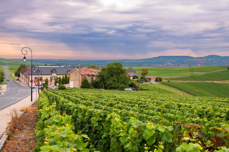 Épernay is an excellent base for exploring the Champagne Routes.