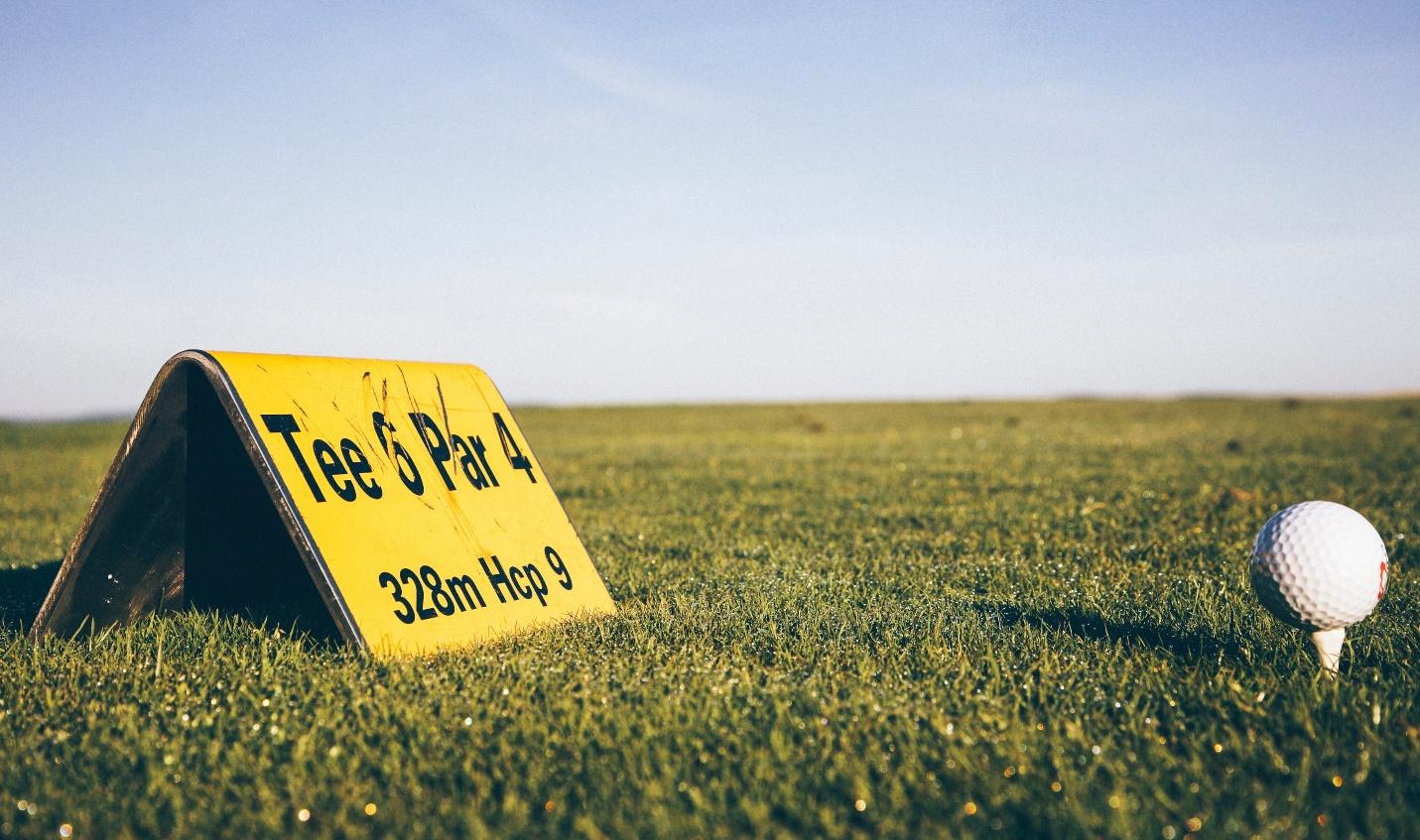 A yellow sign in the grass

Description automatically generated with medium confidence