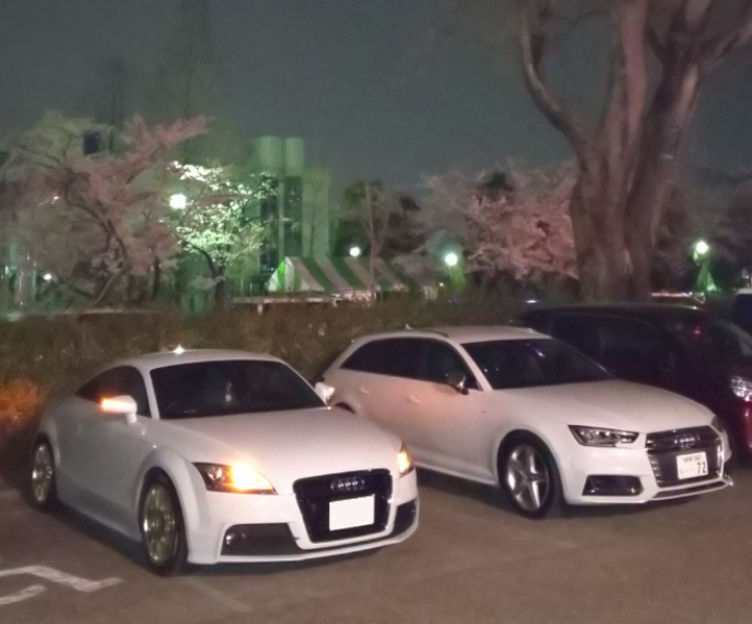 TTの夜桜・屋台に関するカスタム事例の投稿画像1枚目