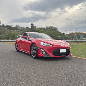 86 ZN6