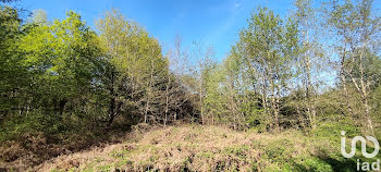 terrain à Pruniers-en-Sologne (41)