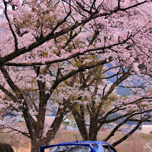 インプレッサ WRX STI GVB