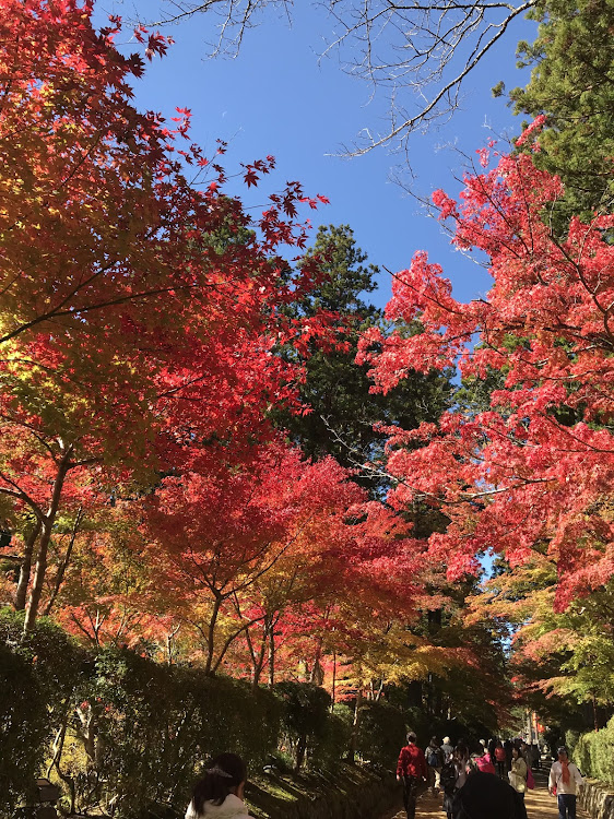 の投稿画像16枚目