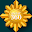 ANZAC 360 Download on Windows