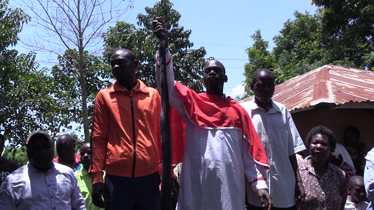 Pastor Stephen Orata display the cobra he killed in the homestead of a woman accused of witchcraft in Bumula, Bungoma county on Wednesday September 18, 2019