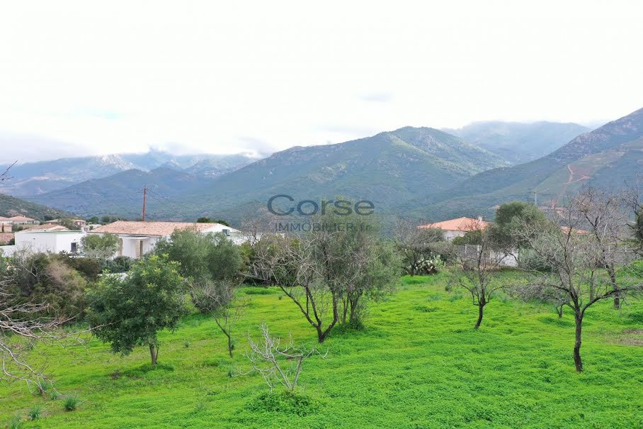 Vente terrain à batir  1142 m² à Peri (20167), 200 000 €