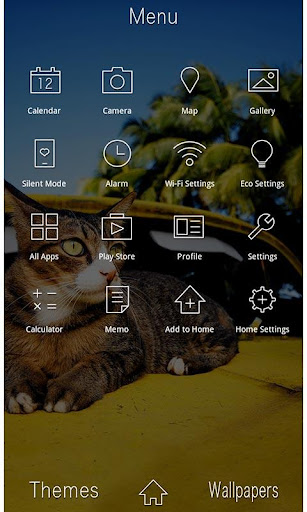 Cute Theme-Cat on a Car- 1.0.0 Windows u7528 2