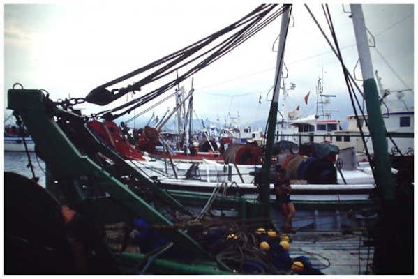 Alla sera dopo il lavoro di spelafili