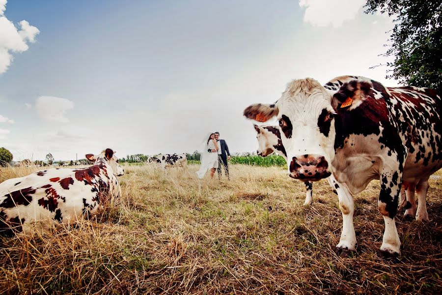 Svatební fotograf Milan Lazic (wsphotography). Fotografie z 31.července 2015