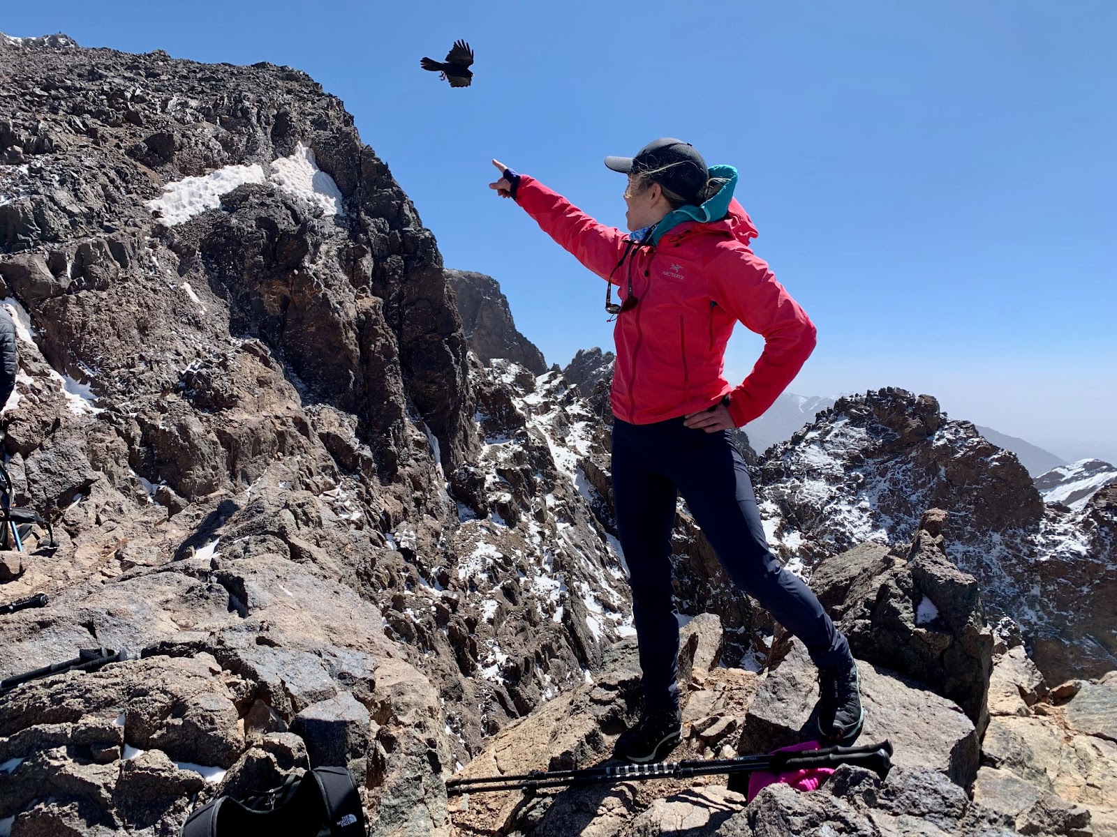 A bird approaches Emer high in the Atlas Mountains.