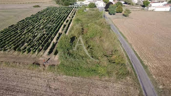 terrain à Saint-Palais-de-Phiolin (17)