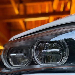X6 M F86