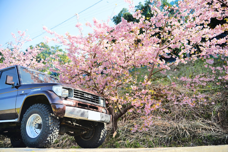 ランドクルーザープラド78のSPC・ｔｗｏ-ｋ魂・Ｎｉｋｏｎ　ＤＦ・３６―７２㎜　ＭＦレンズ・🌸春近し🌸に関するカスタム事例の投稿画像7枚目