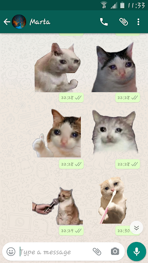 Cat Memes Stickers For WhatsApp - WAStickerApps