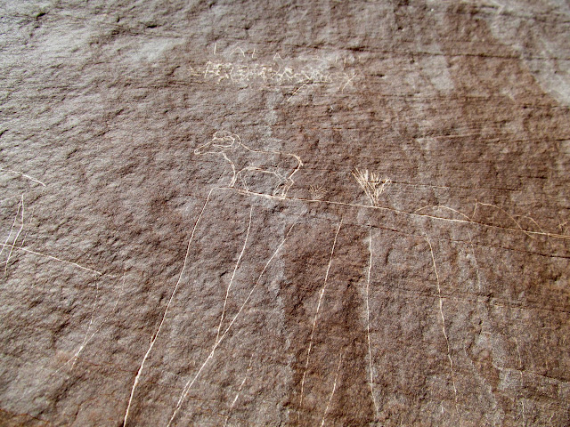 Bighorn sheep on the edge of a cliff