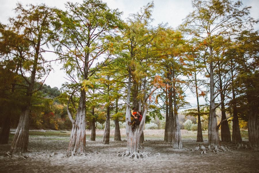 Fotografer pernikahan Ivan Troyanovskiy (vani). Foto tanggal 1 November 2014