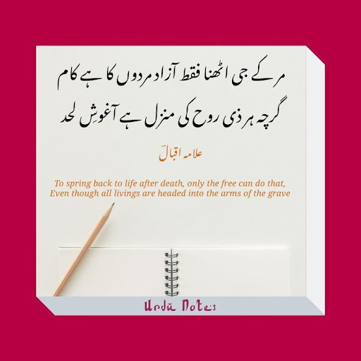Allama Iqbal Shayari On Photo