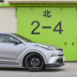 C-HR NGX10
