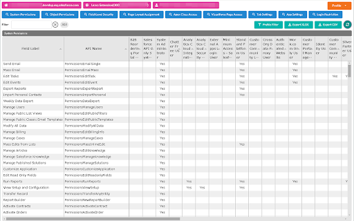 Salesforce Profile Reader