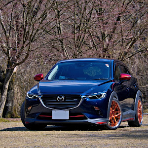 CX-3 DKEFW