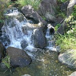 Hinokicho park in Tokyo, Japan 