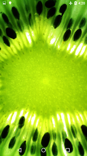 Kiwi Live Wallpaper