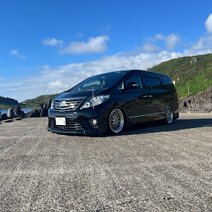 アルファード ANH20W