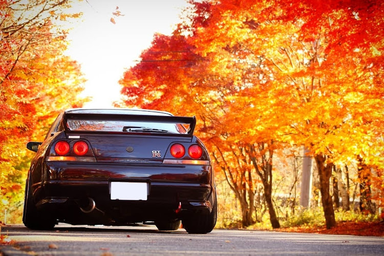 スカイライン GT-Rのスカイライン・GTR・R33・cosmisracing・FALKENに関するカスタム事例の投稿画像2枚目