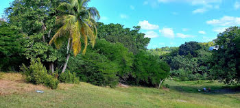 terrain à Sainte Anne (971)