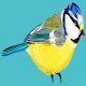 Happy bird Download on Windows
