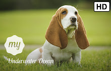 My Basset Hound Dog HD Wallpapers New Tab small promo image