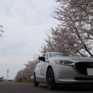 MAZDA2 DJLFS