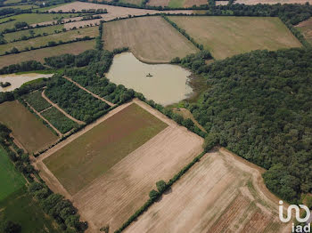 terrain à Le Vigeant (86)