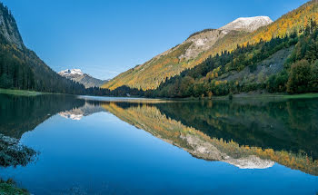 appartement à Montriond (74)