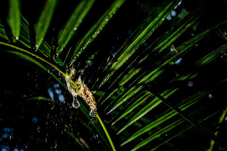 Fotografer pernikahan Võ Hoàng Long (hoanglong). Foto tanggal 16 April 2019