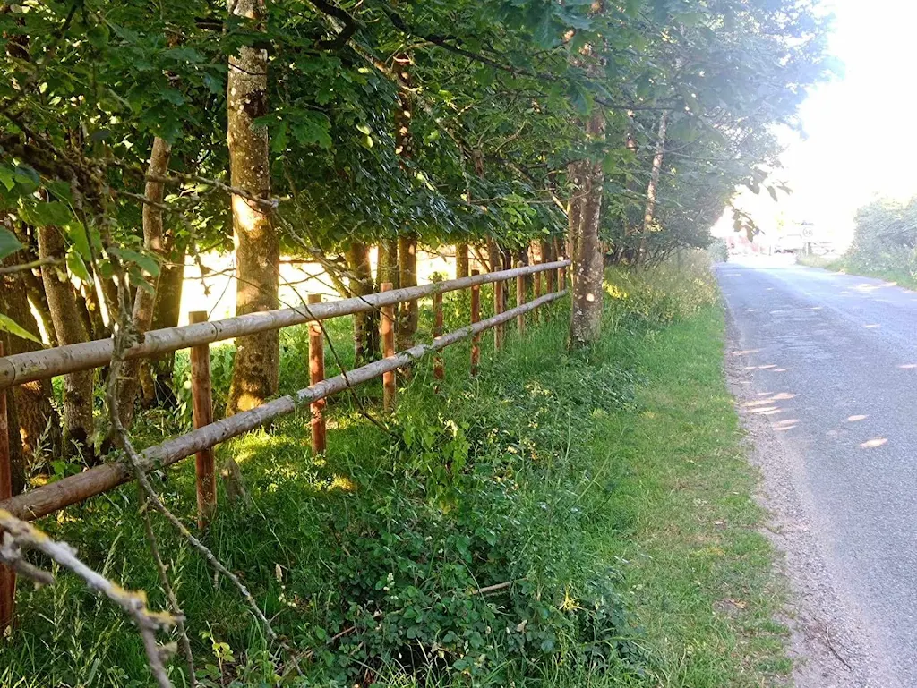 Album cover: Fencing